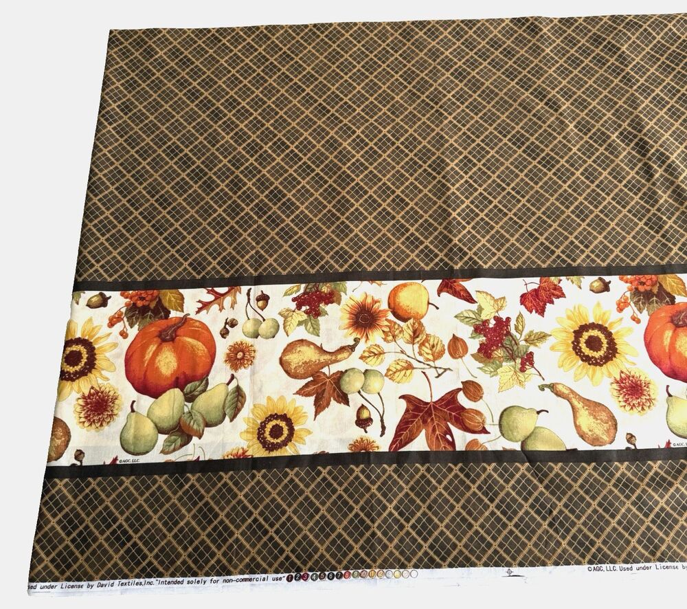 Fall Thanksgiving Harvest David Textile Gourds Quilt Double Border Fabric 2yx58"
